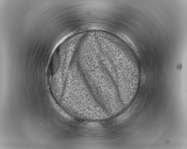 X0000093120798200710241301