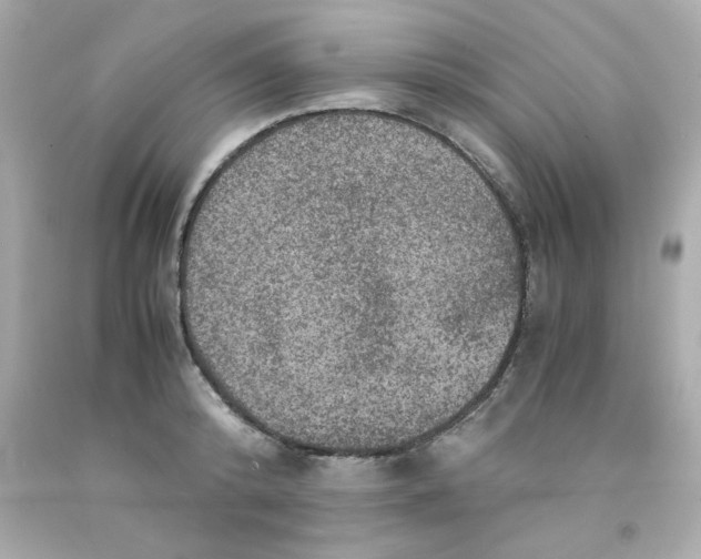 X0000093120800200710241301