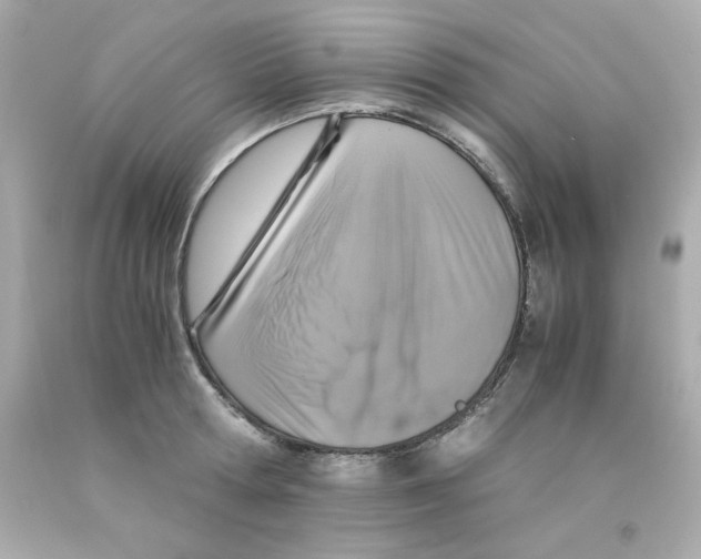 X0000093120802200710241301