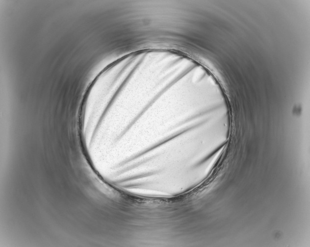 X0000093120803200710241301