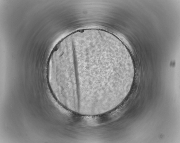 X0000093120805200710241301