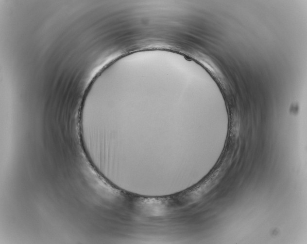 X0000093120806200710241301