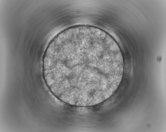 X0000093120807200710241301