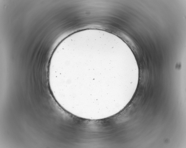 X0000093120808200710241301