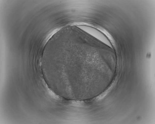 X0000093120809200710241301
