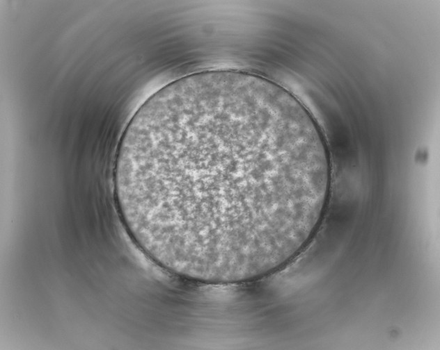 X0000093120810200710241301