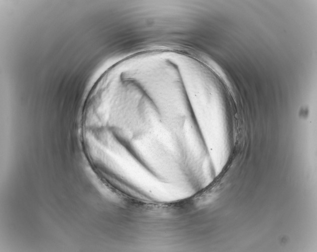 X0000093120811200710241301