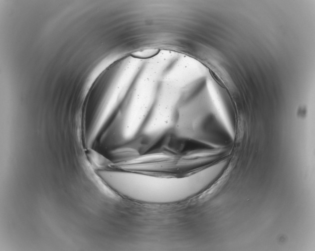 X0000093120812200710241301