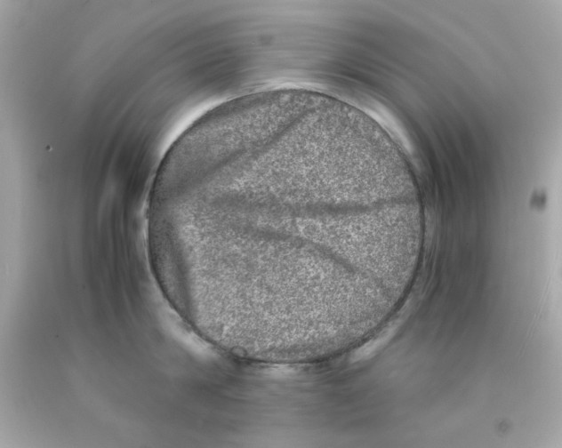 X0000093120814200710241301