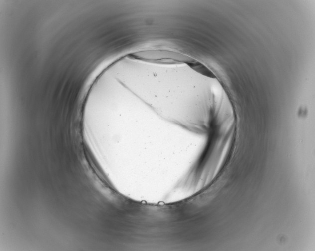 X0000093120816200710241301