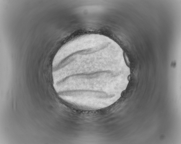 X0000093120817200710241300