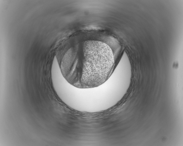 X0000093120818200710241300