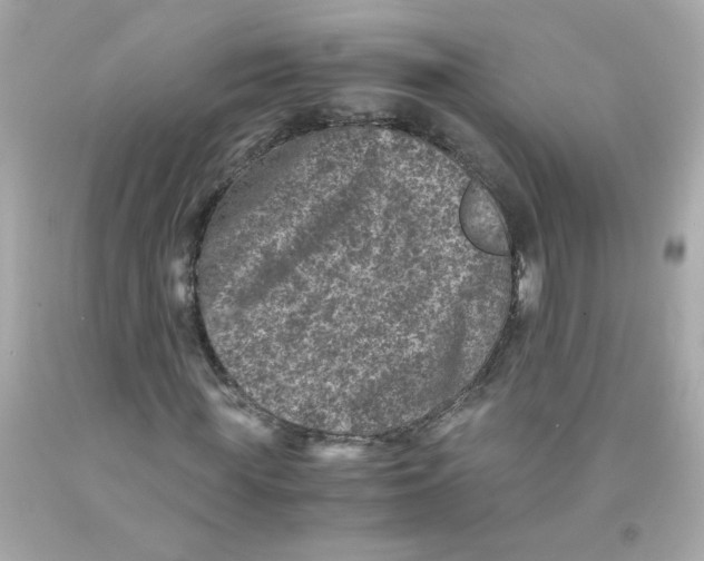 X0000093120819200710241300