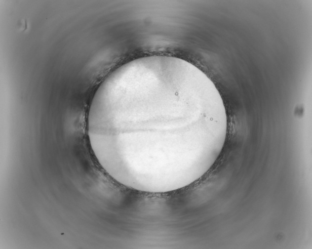 X0000093120820200710241300
