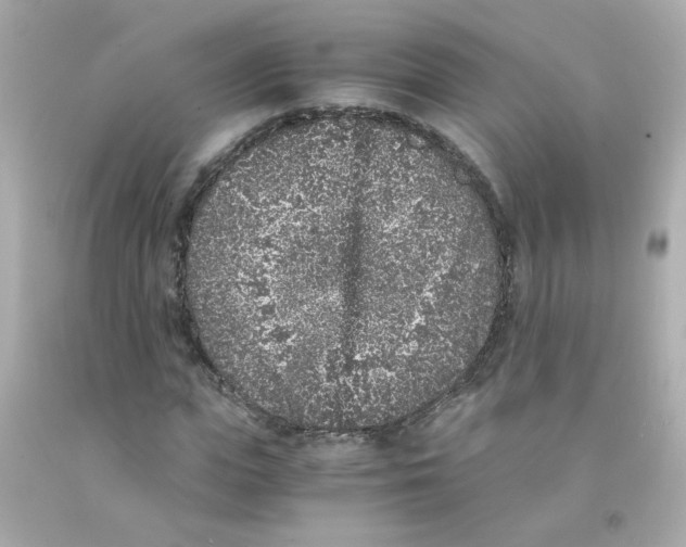 X0000093120823200710241300