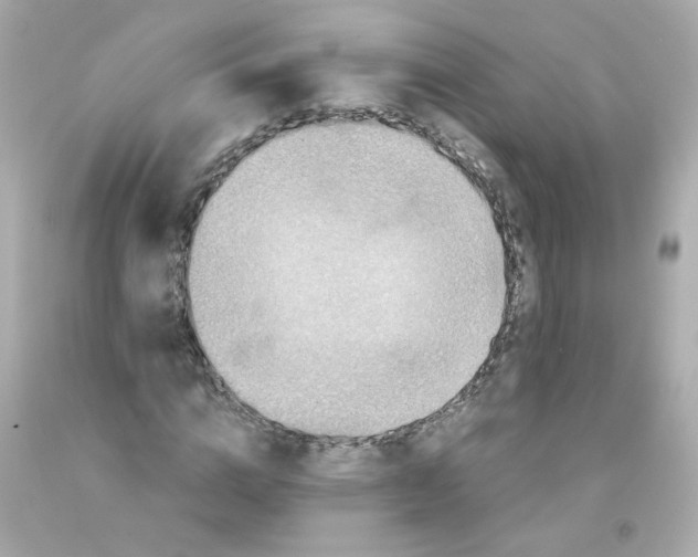 X0000093120824200710241300