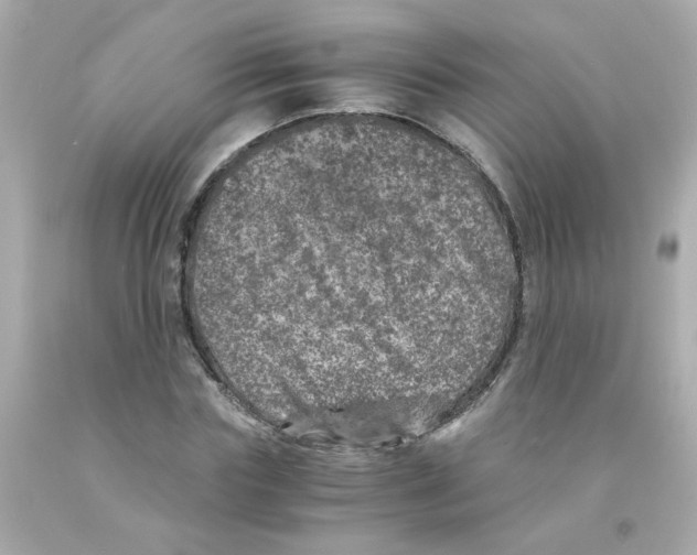 X0000093120827200710241300