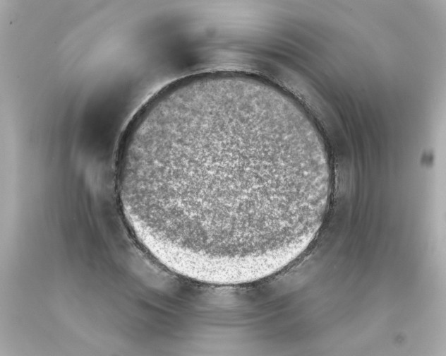 X0000093120828200710241301