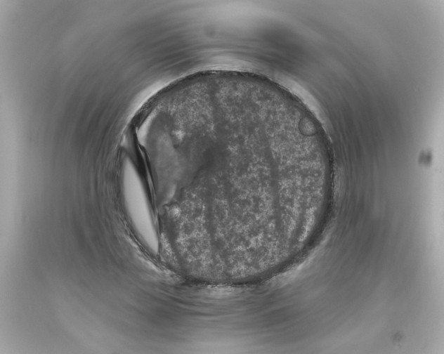 X0000093120829200710241301