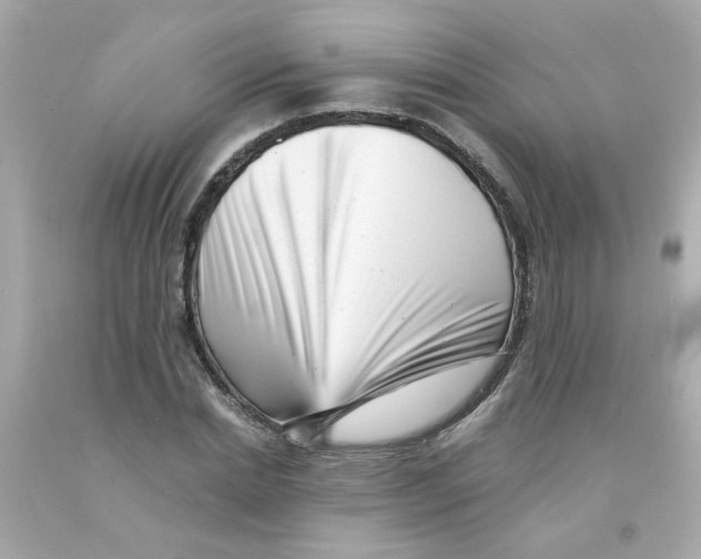 X0000093120830200710241301