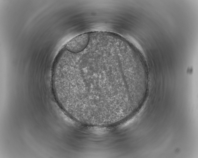 X0000093120831200710241301