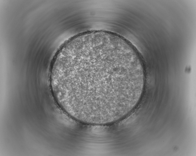 X0000093120832200710241301