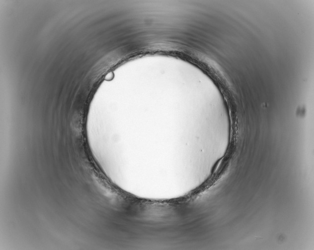 X0000093120833200710241301
