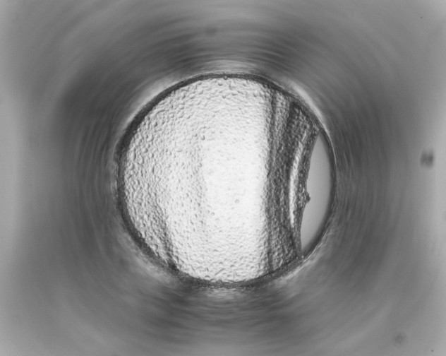 X0000093120835200710241301