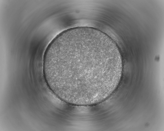 X0000093120836200710241301