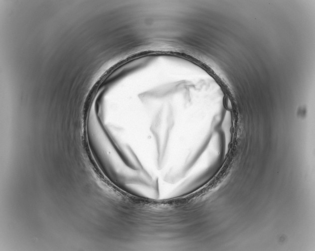 X0000093120837200710241301