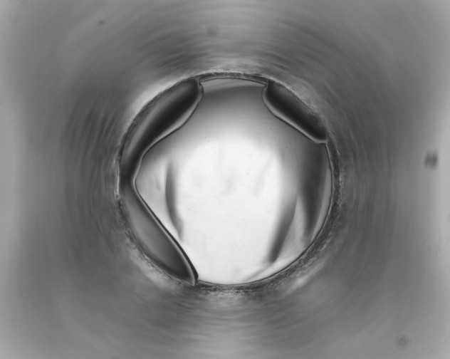 X0000093120838200710241301