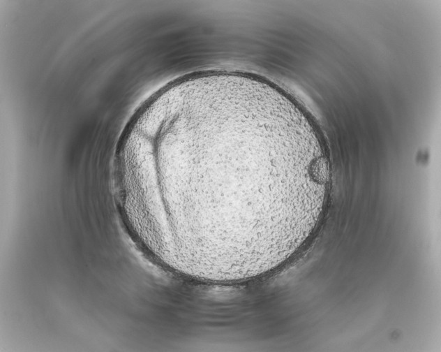 X0000093120839200710241301