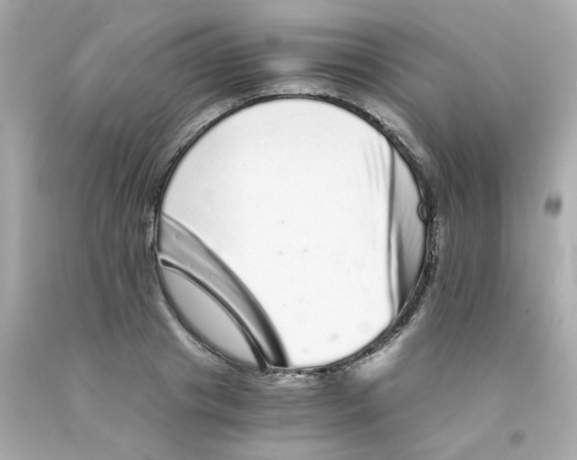X0000093120841200710241301