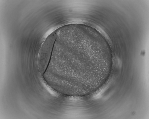 X0000093120842200710241301