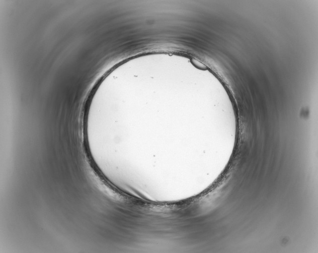 X0000093120843200710241301