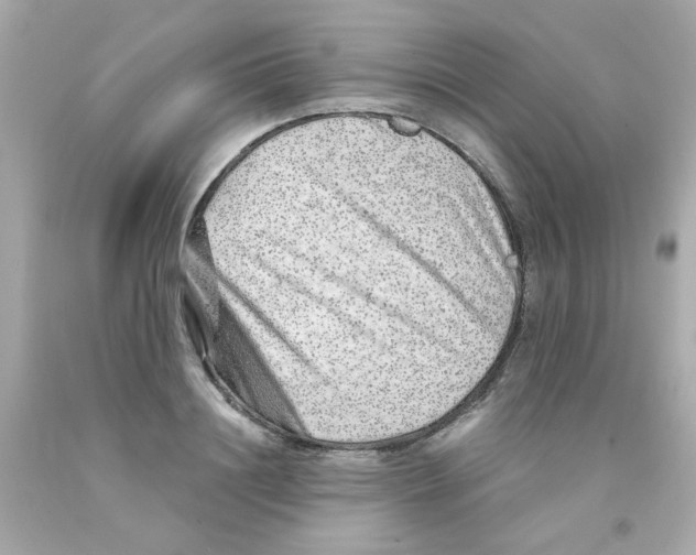 X0000093120844200710241301