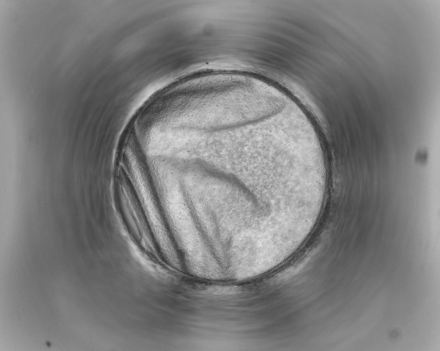 X0000093120845200710241301