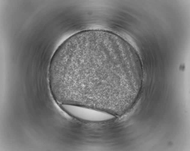 X0000093120847200710241301