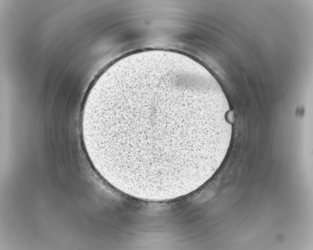 X0000093120848200710241301