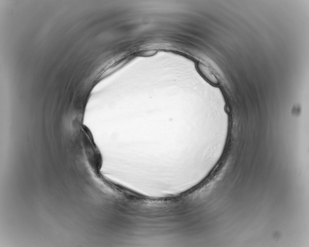 X0000093120849200710241301