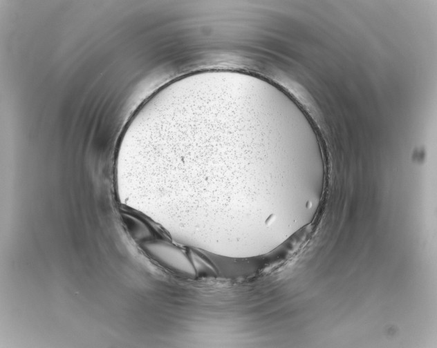 X0000093120850200710241301