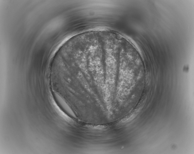X0000093120851200710241301