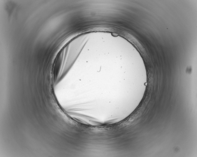 X0000093120852200710241301