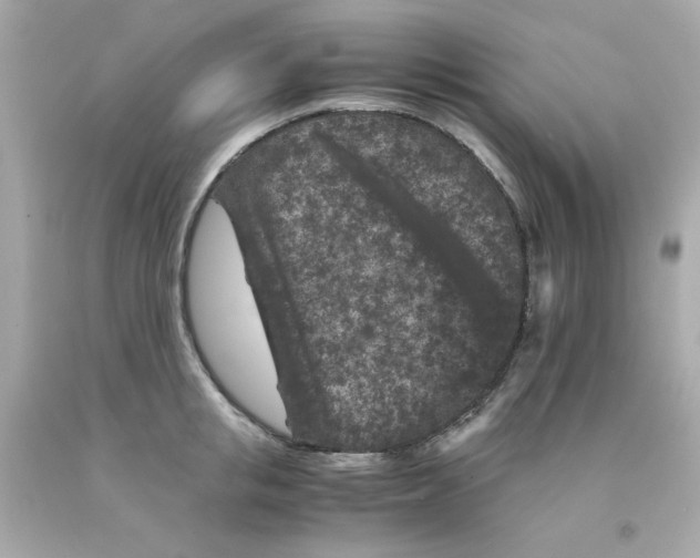 X0000093120853200710241301