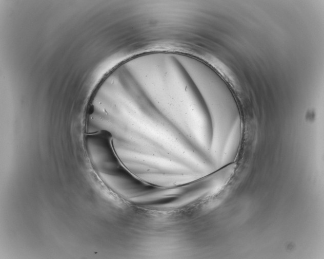 X0000093120854200710241301