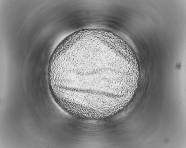 X0000093120855200710241301