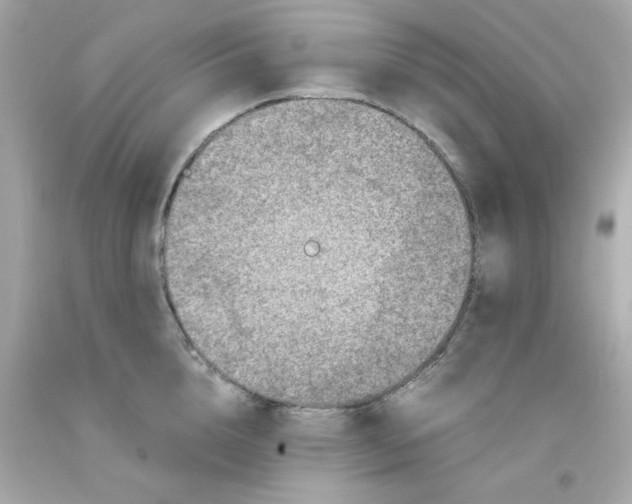 X0000093120856200710241301
