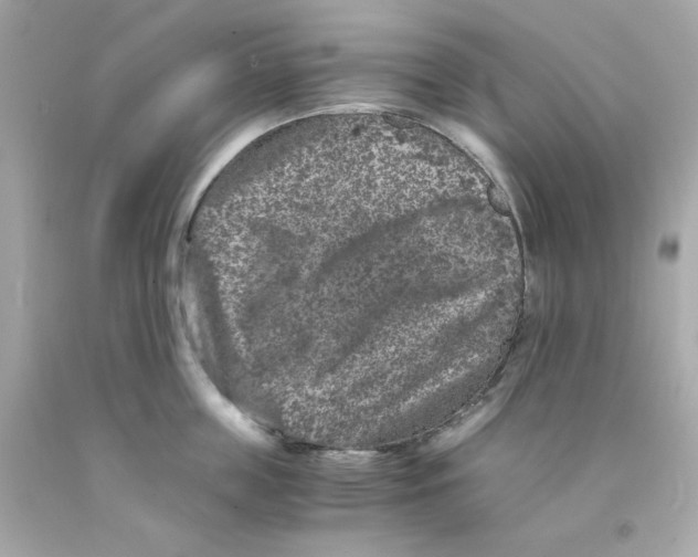 X0000093120859200710241301