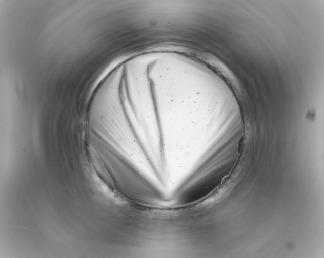 X0000093120860200710241301