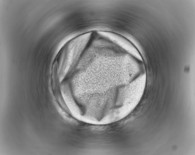 X0000093120861200710241301